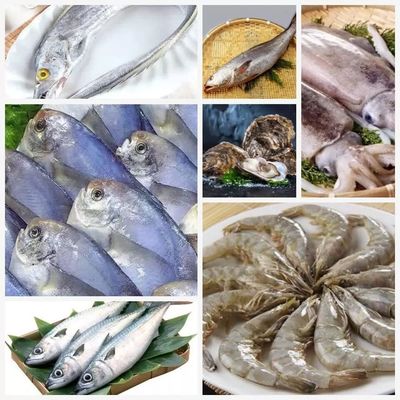 开渔迎鲜 东海海鲜饕餮盛宴，你准备好了吗？