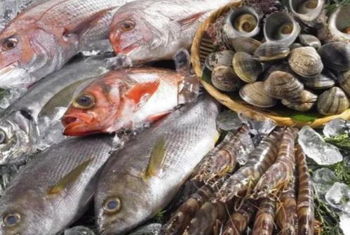 恶果已显现 日本水产出口暴跌91%，6625亿逆差下首相公开求援